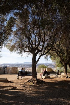 董事长庄浩详解吉宏股份新年开局；订单亮眼，海外生产基地迎来关键节点。