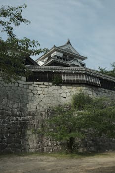 财经分析：白山松水塑造冰天雪地新优势