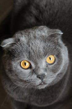 行业动态：人工智能数字空间秩序的法律构建