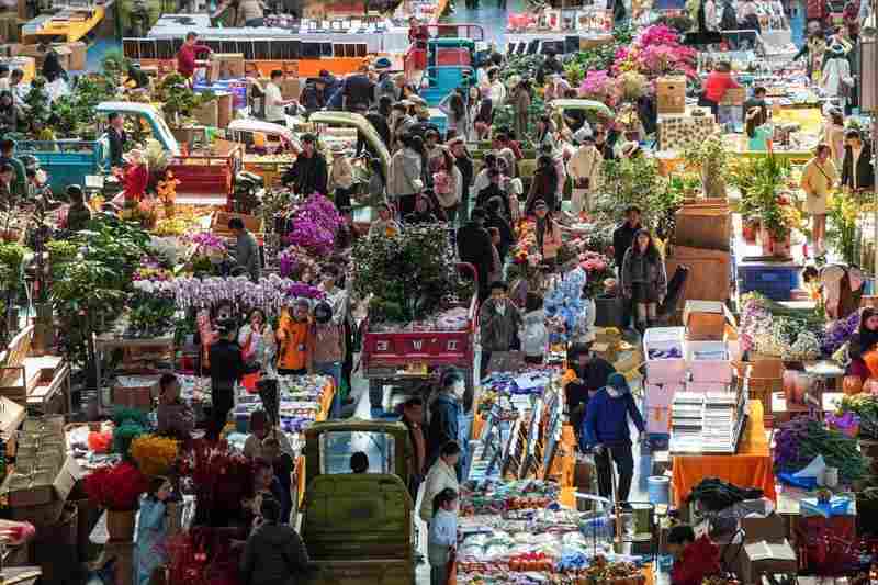  年宵花市热闹非凡，鲜花消费渐入佳境 股票财经 年宵花市热闹非凡，鲜花消费渐入佳境 股票财经 年宵花市热闹非凡，鲜花消费渐入佳境 股票财经 年宵花市热闹非凡，鲜花消费渐入佳境 股票财经