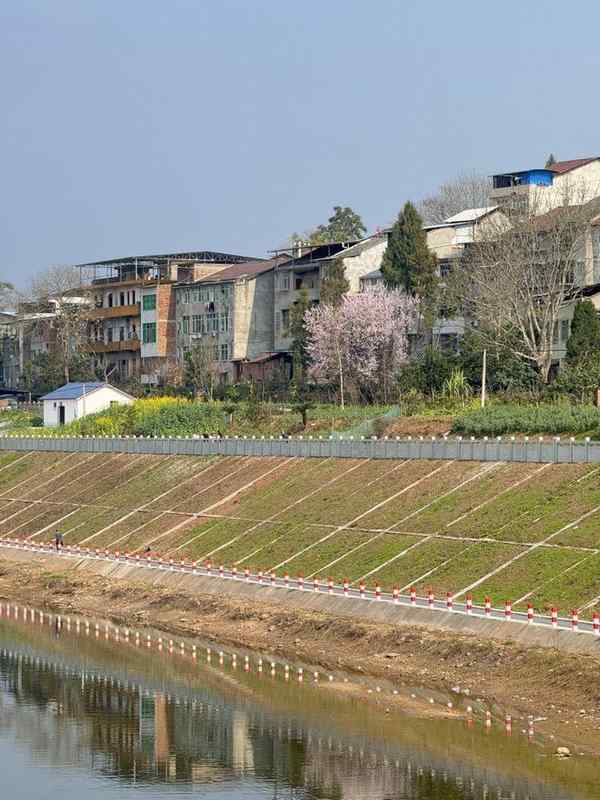  春节团圆之际，年轻一代的坚持与家族隐痛；代际碰撞下，谁定义了孝顺。 情感心理