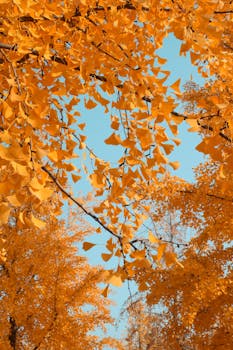  直播间金银锁价遇冷，涨跌双向违约如何破局。 新闻 直播间金银锁价遇冷，涨跌双向违约如何破局。 新闻 直播间金银锁价遇冷，涨跌双向违约如何破局。 新闻 直播间金银锁价遇冷，涨跌双向违约如何破局。 新闻 直播间金银锁价遇冷，涨跌双向违约如何破局。 新闻