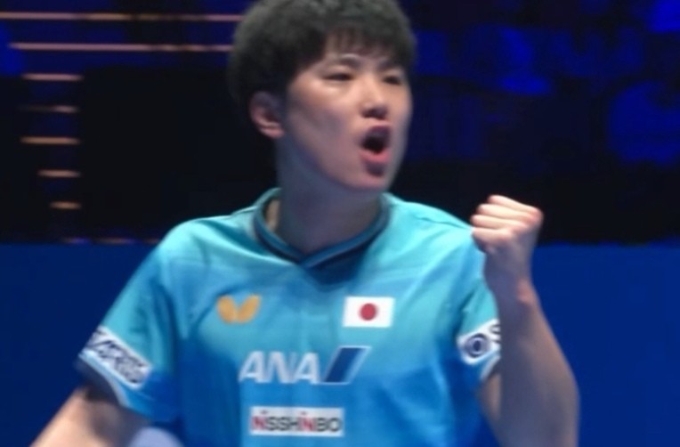  战术迭代深度复盘：林昀儒四步拆解张本智和战术体系 体育新闻 战术迭代深度复盘：林昀儒四步拆解张本智和战术体系 体育新闻