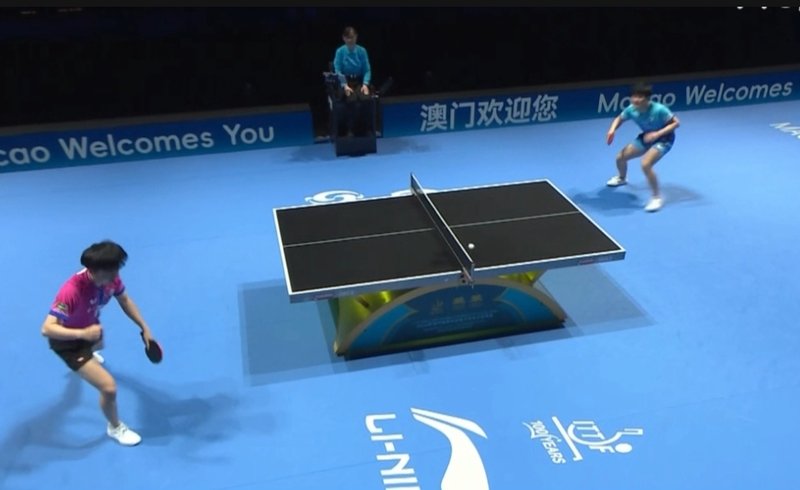  战术迭代深度复盘：林昀儒四步拆解张本智和战术体系 体育新闻 战术迭代深度复盘：林昀儒四步拆解张本智和战术体系 体育新闻