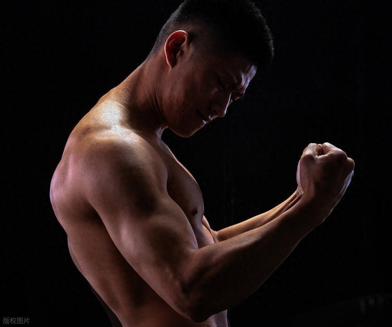  增肌的本质是合成代谢：七类营养素如何驱动肌肉蛋白质合成 健康养生