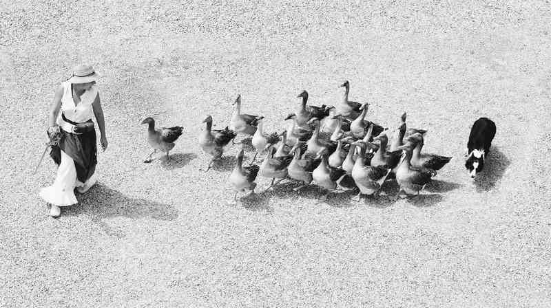  【认知升级】从“鸡蛋与高墙”看独立判断力的养成法则 情感心理