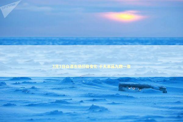 3月3日白酒市场价格变化 十大单品九跌一涨