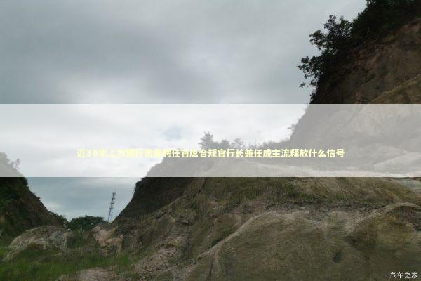 近30家上市银行密集聘任首席合规官行长兼任成主流释放什么信号