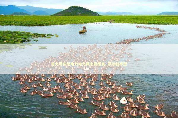 算力尽头是电力电力概念股爆发_平淡叙事型