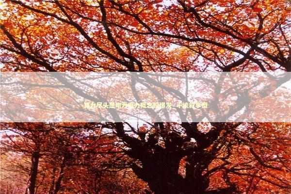 算力尽头是电力电力概念股爆发_平淡叙事型