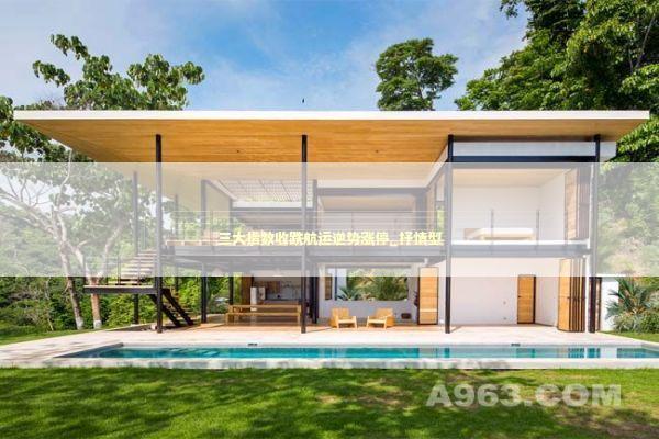 三大指数收跌航运逆势涨停_抒情型