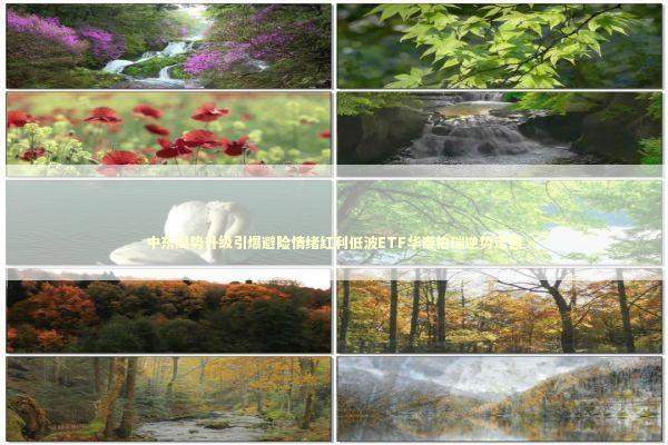 中东局势升级引爆避险情绪红利低波ETF华泰柏瑞逆势走强