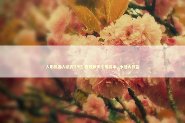 人形机器人融资35亿 春晚顶流引爆资本_小题大做型