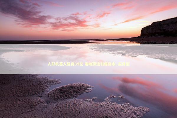 人形机器人融资35亿 春晚顶流引爆资本_实用型