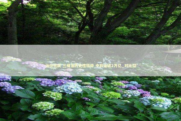 油价狂飙 三桶油历史性涨停 中石油破2万亿_对比型