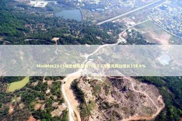 MiniMax2025年业绩报营收7903.8万美元同比增长158.9%