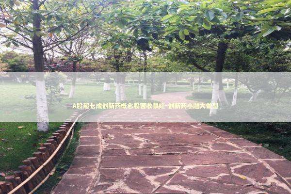 A股超七成创新药概念股营收飘红-创新药小题大做型