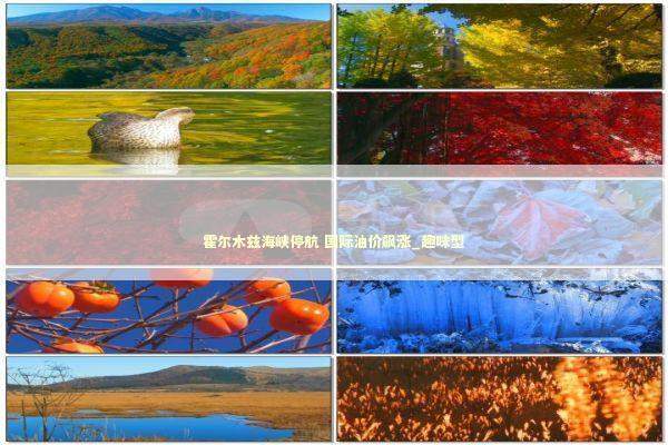 霍尔木兹海峡停航 国际油价飙涨_趣味型