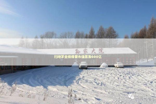 扫地茅业绩爆雷市值蒸发600亿