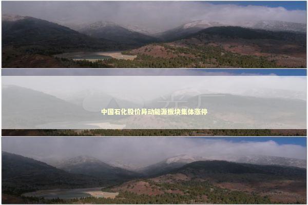 中国石化股价异动能源板块集体涨停