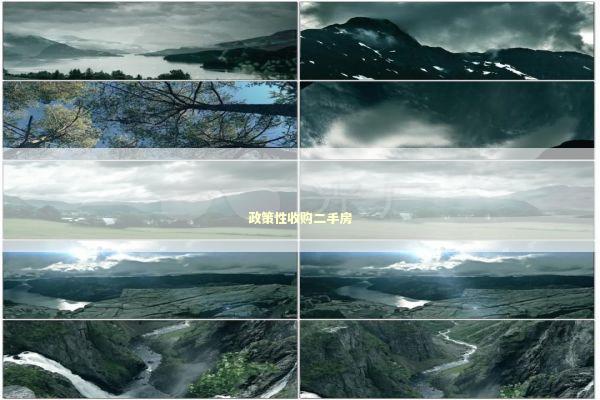 政策性收购二手房