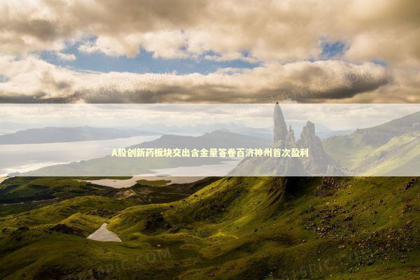 A股创新药板块交出含金量答卷百济神州首次盈利