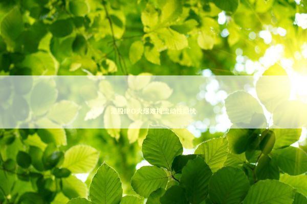 港股IPO火爆难掩流动性隐忧