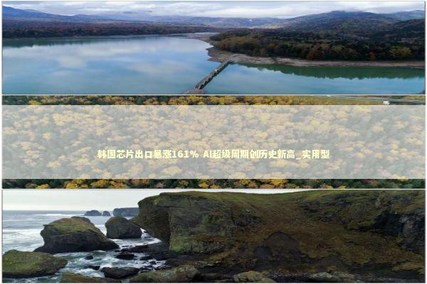 韩国芯片出口暴涨161% AI超级周期创历史新高_实用型