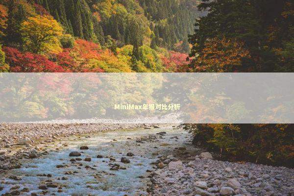 MiniMax年报对比分析