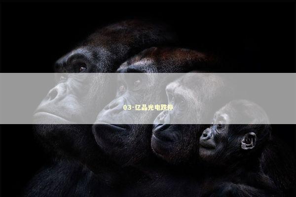 03-亿晶光电跌停