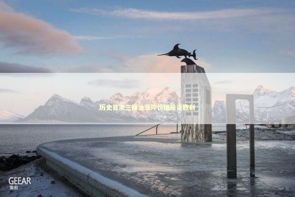 历史首次三桶油涨停价值投资胜利