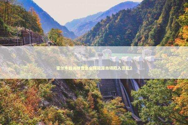 霍尔木兹海峡告急全球能源市场陷入混乱2