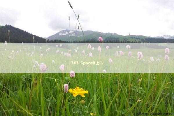 343-SpaceX上市
