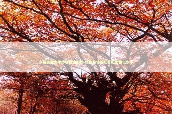 多路资金大举抄底恒生科技 机构称估值处于历史偏低水平