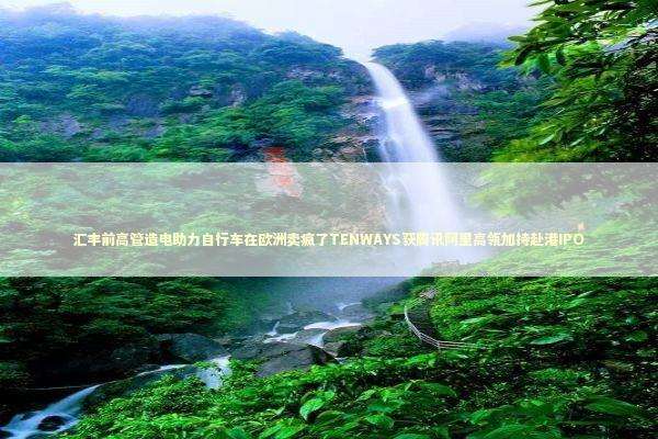 汇丰前高管造电助力自行车在欧洲卖疯了TENWAYS获腾讯阿里高瓴加持赴港IPO