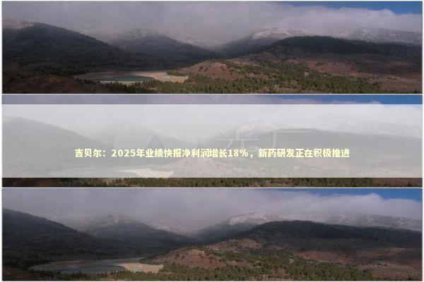 吉贝尔：2025年业绩快报净利润增长18%，新药研发正在积极推进