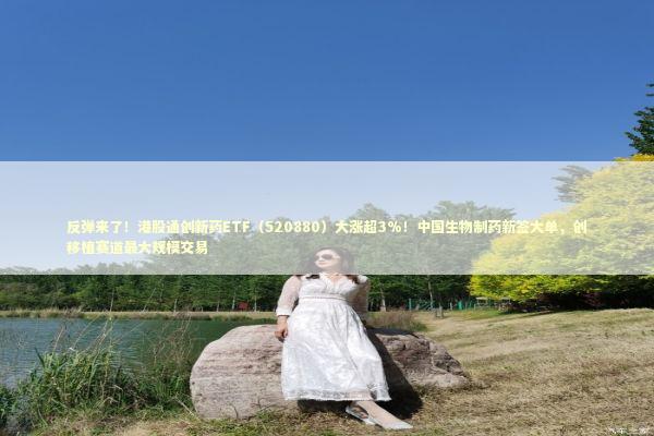 反弹来了！港股通创新药ETF（520880）大涨超3%！中国生物制药新签大单，创移植赛道最大规模交易