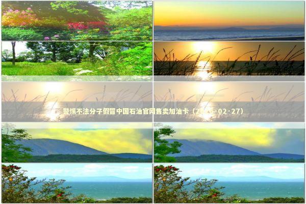 警惕不法分子假冒中国石油官网售卖加油卡（2026·02·27）