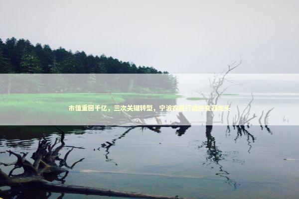 市值重回千亿，三次关键转型，宁波农民打造逆变器龙头