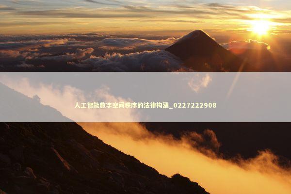 人工智能数字空间秩序的法律构建_0227222908
