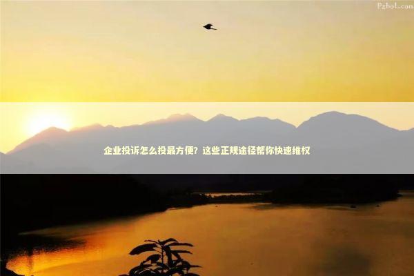 企业投诉怎么投最方便？这些正规途径帮你快速维权