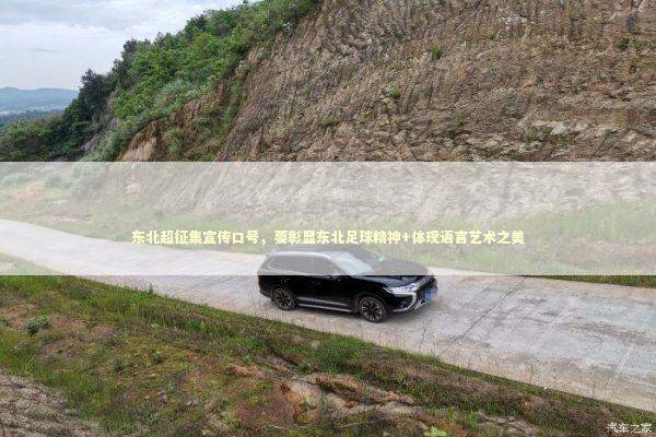 东北超征集宣传口号，要彰显东北足球精神+体现语言艺术之美