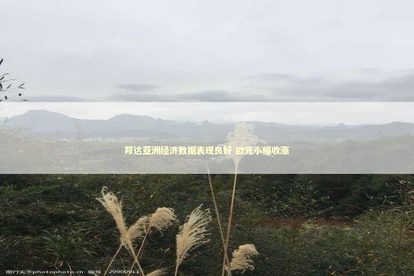 邦达亚洲经济数据表现良好 欧元小幅收涨