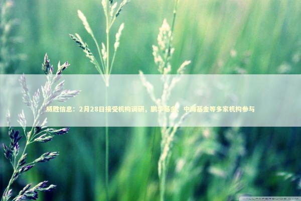 威胜信息：2月28日接受机构调研，鹏华基金、中海基金等多家机构参与