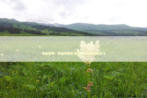 基层警事：铁血刑警的温情转身引发市场关注