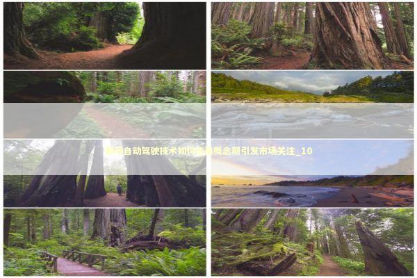 解码自动驾驶技术如何走出概念期引发市场关注_10