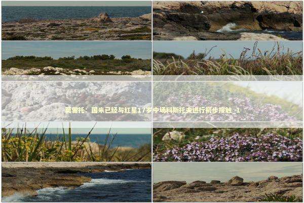 莫雷托：国米已经与红星17岁中场科斯托夫进行初步接触_1