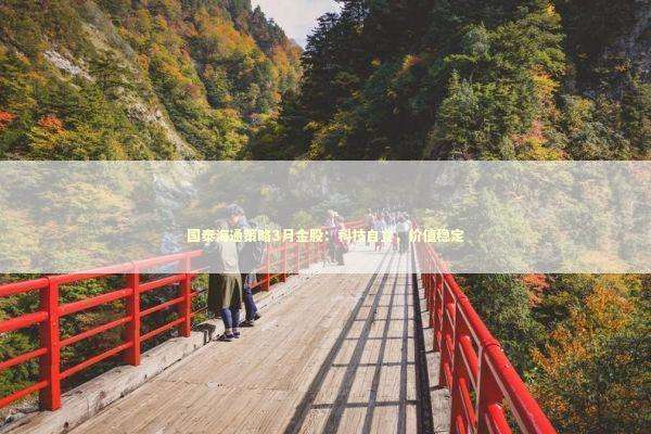 国泰海通策略3月金股：科技自立，价值稳定