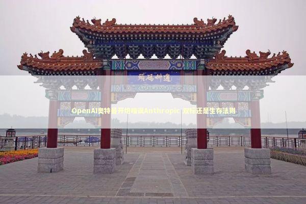 OpenAI奥特曼开炮暗讽Anthropic 双标还是生存法则