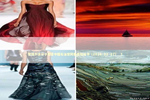 警惕不法分子假冒中国石油官网售卖加油卡（2026·02·27）_3